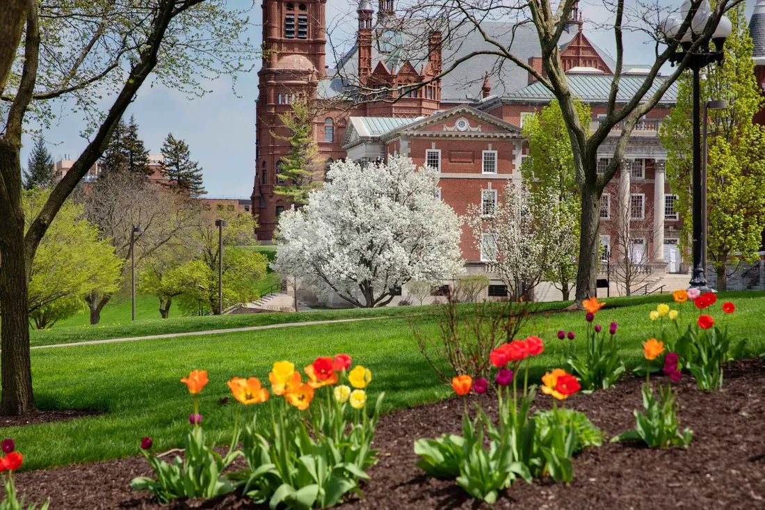 Campus in the Spring.